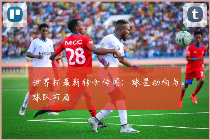 世界杯最新转会传闻：球星动向与球队布局