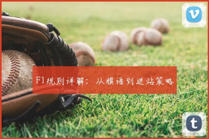 F1规则详解：从旗语到进站策略