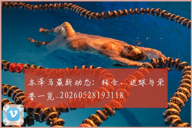 本泽马最新动态：转会、进球与荣誉一览_20260528193118